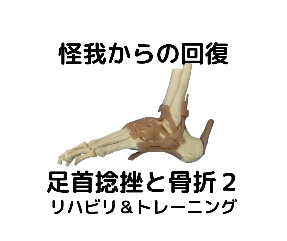 Read more about the article 怪我からの回復〜足首の捻挫と骨折２〜リハビリ